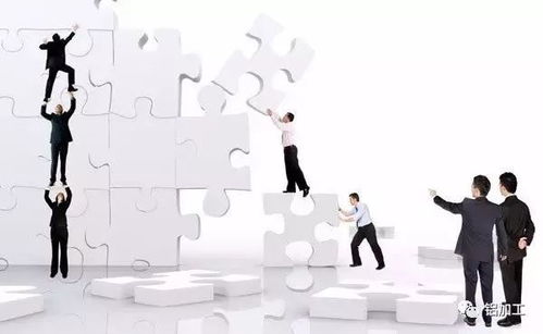 如何高效开展商务工作实现稳定盈利？