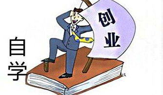 在家自学技术实现赚钱，有哪些实用方法可行？