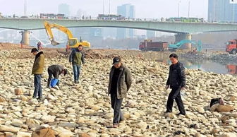 在黄河边捡拾何种物品能带来可观收益？