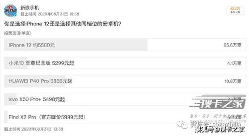 如何在手机上通过给人投票实现赚钱？