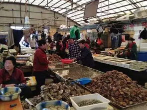 烟台的海鲜店经营能否带来可观收益？