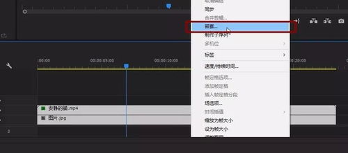 后期剪辑中，哪种配音方式能带来更多收益？