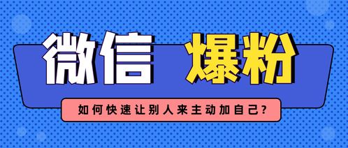 支付平台副业真的能赚钱吗？你不知道的隐藏商机！