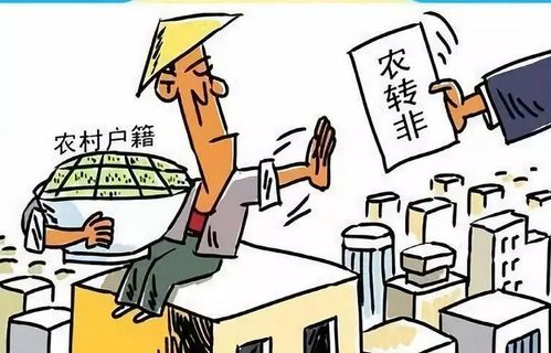 农村人进城购房，真的能实现财富增长吗？