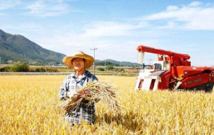 在农村不打工，养什么能轻松赚钱？