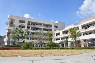 合肥腾飞学校究竟如何？教学质量与校园环境评价如何？