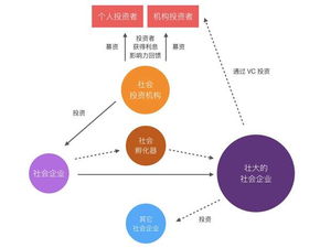 如何成为进口海鲜代理并实现盈利？