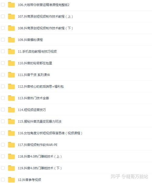 哪个抖音版本最赚钱？如何选择高收益版本？