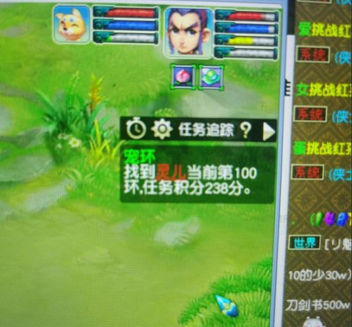 梦幻宠环真的能带来可观收益吗？