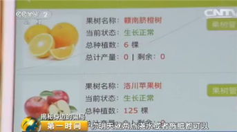 哪些水果游戏能让你轻松盈利？你真的了解吗？