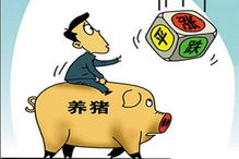 大老板投身建筑行业，究竟赚不赚钱？