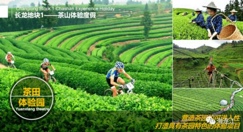 农村小农场如何科学经营实现盈利？