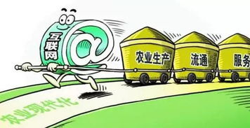 在家经营农村电商，真的能实现盈利吗？