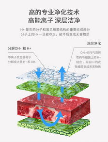 北京食品净化机市场前景如何？能否带来可观收益？