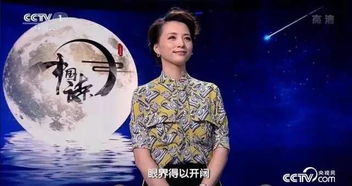 董卿靠成语赚钱传闻可信吗？真相究竟如何？