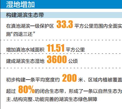 全民热衷计步，真的能转化为实际收益吗？