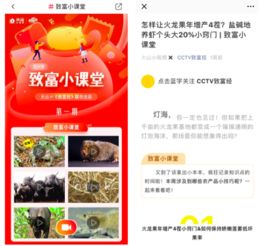 火山小视频真的能实现财富增长吗？