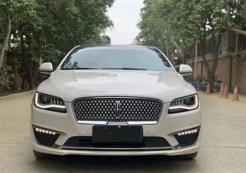 以生命为代价卖蜂蜜，真的能赚大钱吗？