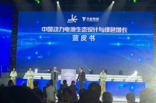 濮阳天能集团实力如何？是否值得加入？