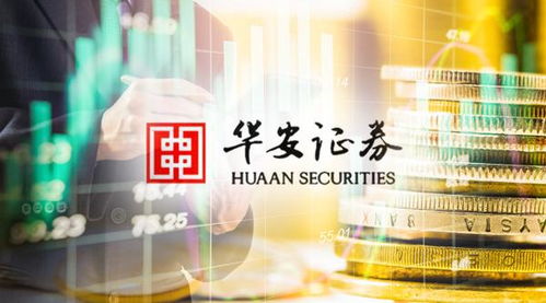 华安证券的工作体验如何？知乎上的评价靠谱吗？