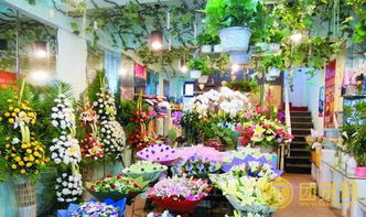 如今经营陌陌花店还能盈利吗？市场前景如何？