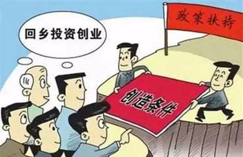 回乡卖猪肉创业，真的能赚钱吗？你了解多少？