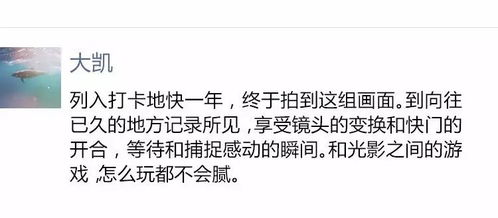 如何成功开启儿童摄影副业之路？你准备好了吗？