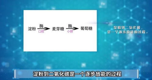 固生堂的待遇和工作环境究竟如何？值得一去吗？
