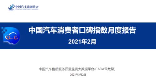 中税咨询集团的服务质量究竟如何？其口碑评价在业内处于什么水平？