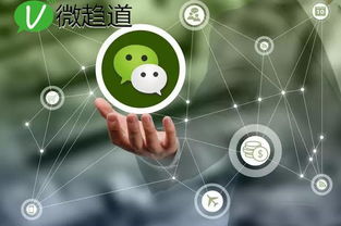微信平台如何实现盈利？探寻微信微平台的赚钱之道