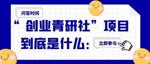 保定创业副业项目有哪些值得尝试？新手如何选择？