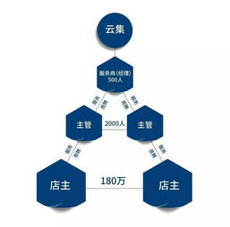 探讨微信云集店与云集微店的差异及深层含义解析