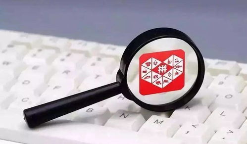 如何高效使用拼多多地推助力话术提升推广效果？