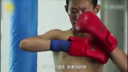 有哪些电影讲述通过挣钱来磨练搏击技能的故事？