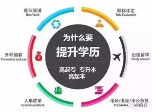 没有学历背景，哪些工作能让你轻松赚钱？