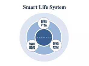 实地集团究竟具备怎样的实力？其主营业务又覆盖了哪些行业领域？