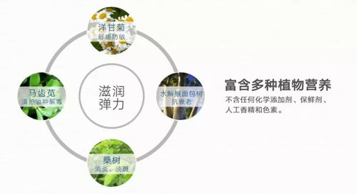 文成国际排毒效果如何？真的能起到排毒作用吗？