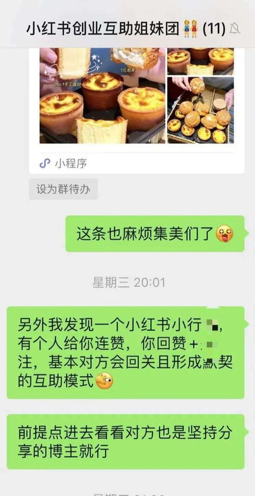 卖仓鼠当副业，真的能赚钱吗？你了解其中的门道吗？