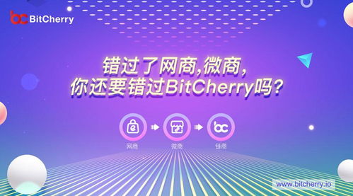 微商与网商究竟有何不同？深度解析两者的经营之道