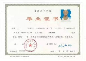 第一学历含义解析及填写最高学历的正确方法是什么？