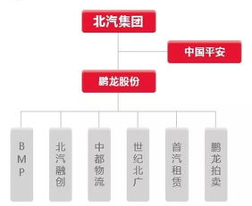 北汽集团旗下哪些公司盈利能力最强？