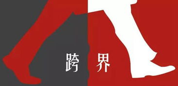 娱乐圈中哪些明星跨界经营副业，成功转型？