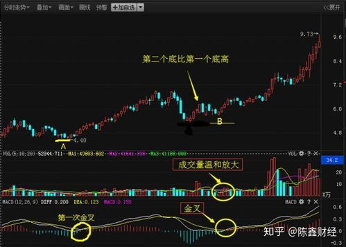 股市投资真的能让每个人都获利吗？