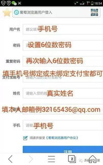 葡萄浏览器盈利模式是怎样的？它如何实现收益增长？