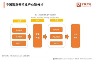 如何在当前市场环境下实现养殖业的盈利增长？