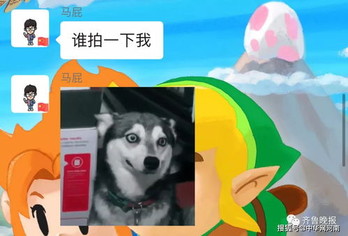 拍摄动物视频在头条上能赚钱吗？效果如何？