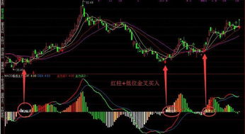 主力动向如何洞察？掌握盈利关键技巧解析