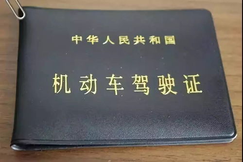 失业证究竟有何用途？它能为失业者带来哪些实际帮助？