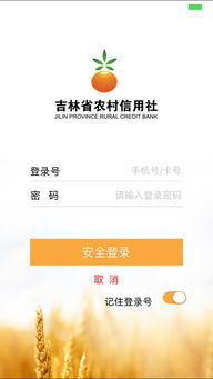 广东农信究竟属于哪家银行？其银行类型又是如何划分的？