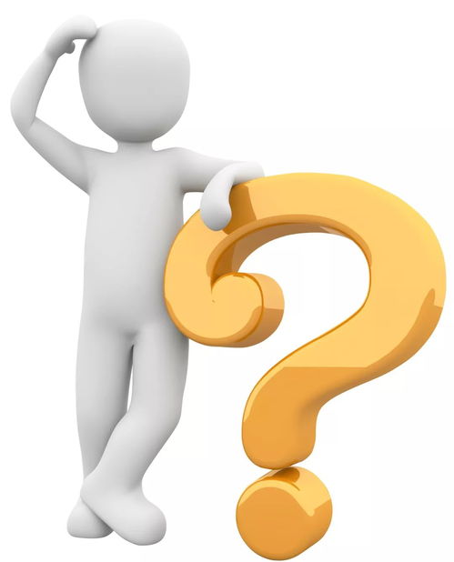 阳总为何热衷于探讨副业？他的经验能否为你所用？